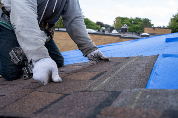 Trusted Nashua, IA Roofing Contractor Experts