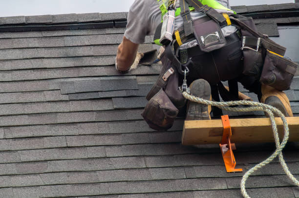 Best Storm Damage Roof Repair  in Nashua, IA