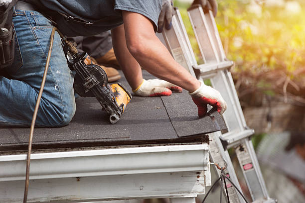Best Metal Roofing Contractor  in Nashua, IA